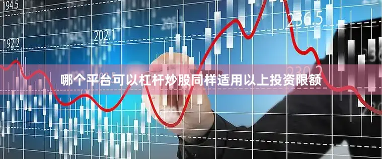 哪个平台可以杠杆炒股同样适用以上投资限额