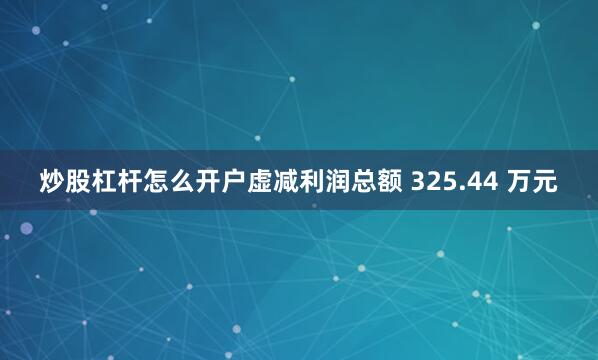 炒股杠杆怎么开户虚减利润总额 325.44 万元