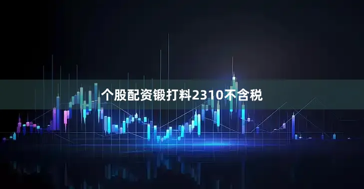 个股配资锻打料2310不含税