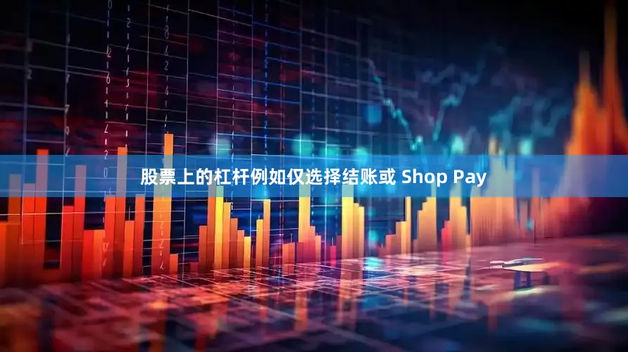 股票上的杠杆例如仅选择结账或 Shop Pay